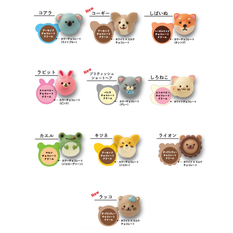 Goncharoff Animal Chocolate D 10 pcs/box 日本Goncharoff 小动物巧克力礼盒 D 10粒/盒