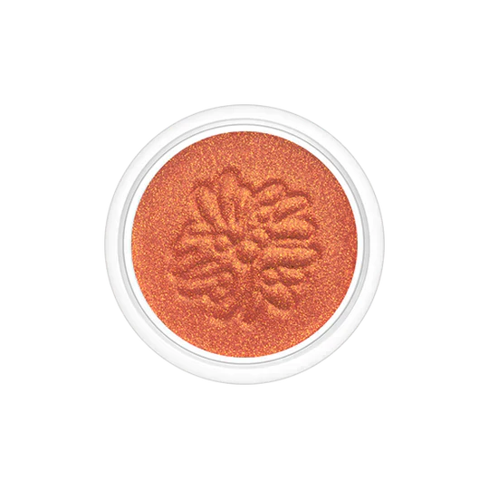 Paul & Joe - Sparking Eye Color CS  #001 Antique Button 7g 日本Paul & Joe秋季限定闪耀单色眼影 #001 暖铜橙色 7g
