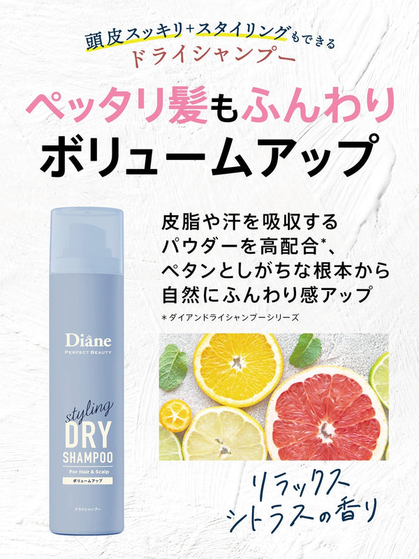 DIANE Perfect Beauty Styling Dry Shampoo (Volume Up) 黛丝恩 致美零粉感隐形干洗发造型喷雾 (蓬松款) 95g