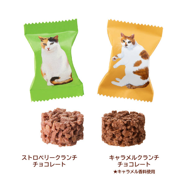 Mary Chocolate Nekomyamire Cat Valentine’s Day Chocolate Series Buchi-Kun Pouch Merry Chocolate 6 pcs 日本Nekomyamire 猫咪情人节巧克力系列 Buchi造型巧克力酥块收纳包 6枚入