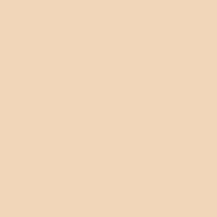 POLA B.A Serum Cushion Foundation #N1 Light Natural / Refill Only 12g 日本pola宝丽黑BA三合一气垫 替换装 12g