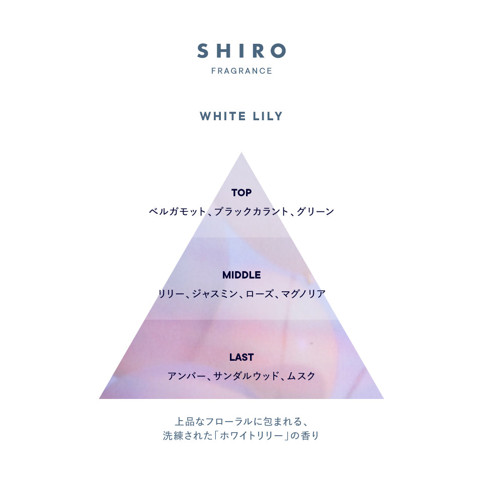 SHIRO White Lily Fragrance Body Milk 日本 SHIRO 白百合香氛身体乳 195g