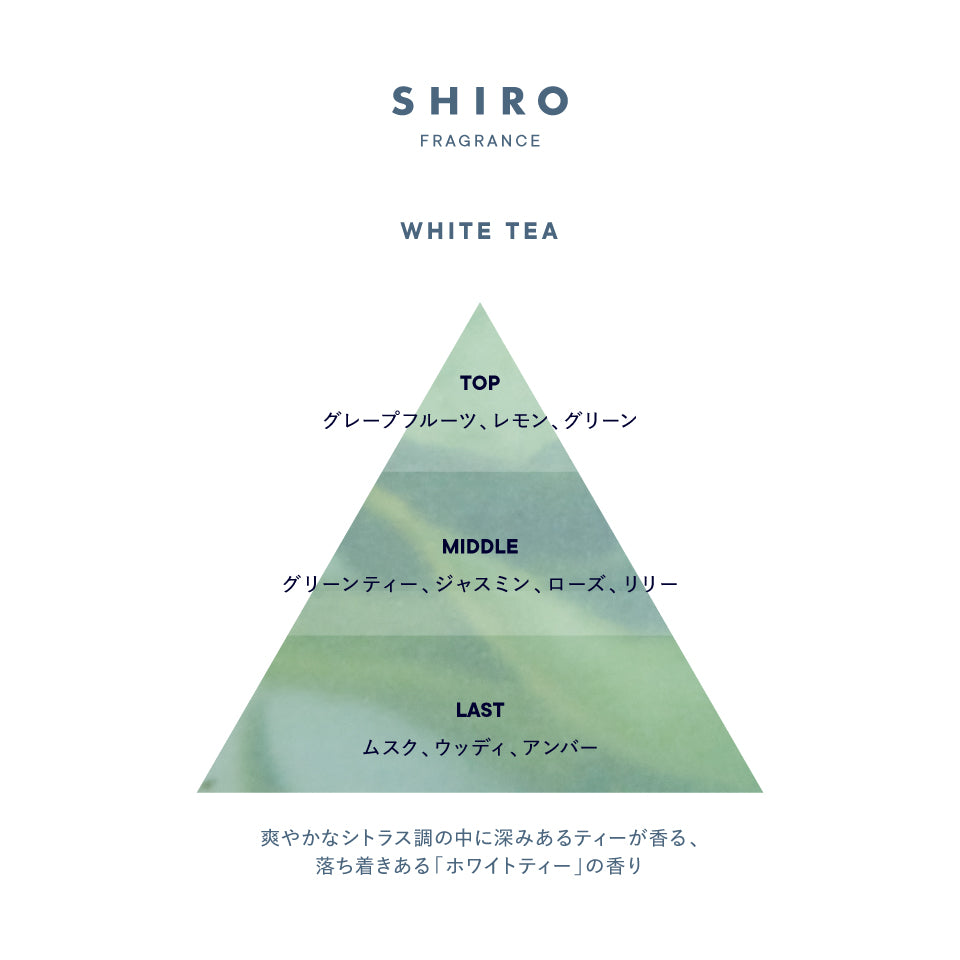 SHIRO White Tea Fragrance Body Milk 日本 SHIRO 白茶香氛身体乳 195g