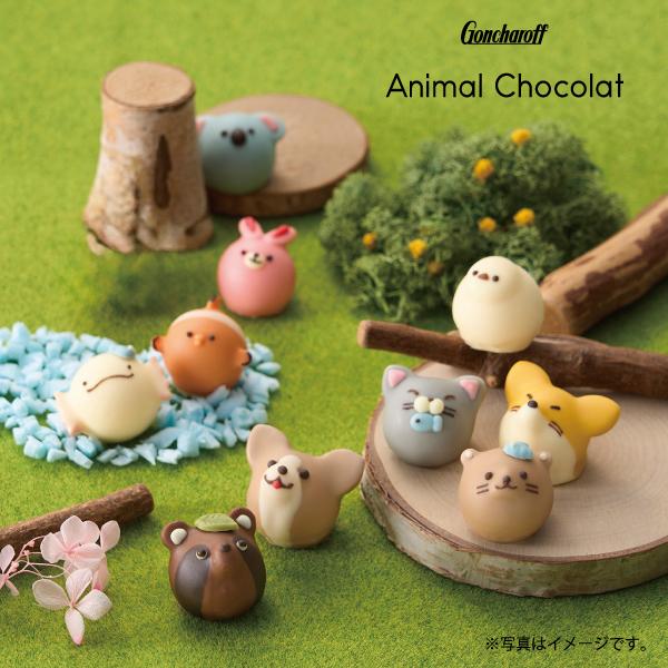 Goncharoff Animal Dogs Chocolate 3pcs/box 日本Goncharoff 小动物狗狗巧克力礼盒 3粒/盒