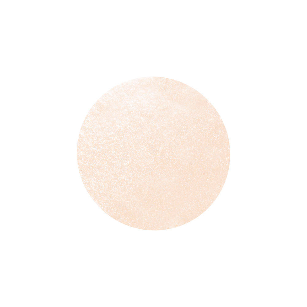 Anna Sui Illuminating Cushion Compact 01 (Refill) 安娜苏 魔法亮采气垫粉饼 01 替换装 8g