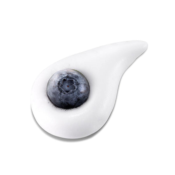 NEOGEN Dermalogy Real Fresh Foam (Blueberry) 妮珍 新鲜蓝莓洁面慕斯 160g