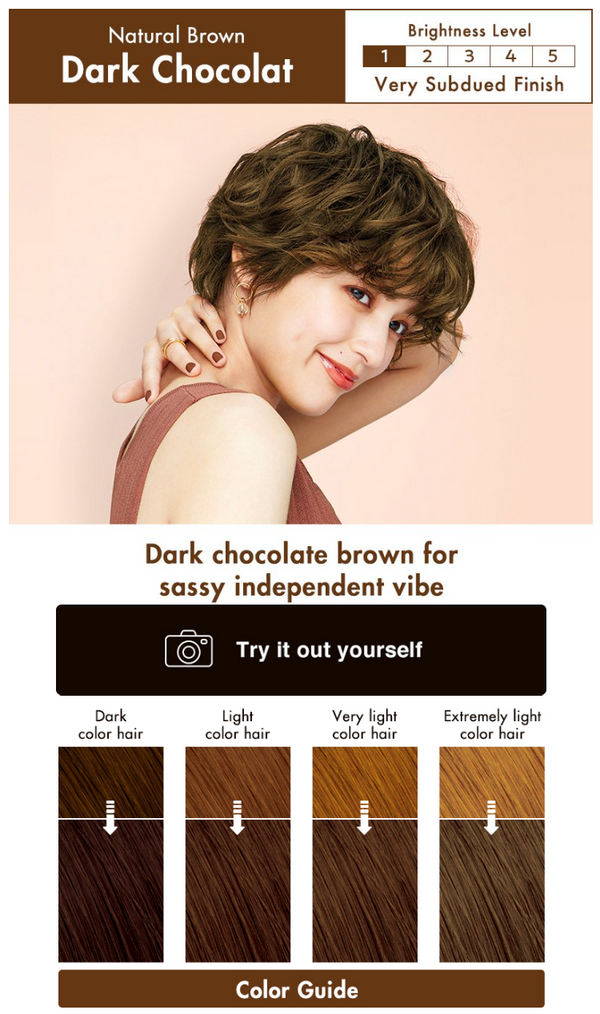 KAO Liese Prettia Bubble Hair Color Dying Kit #Dark Chocolate 花王 LIESE PRETTIA 泡沫染发剂 #黑巧克力