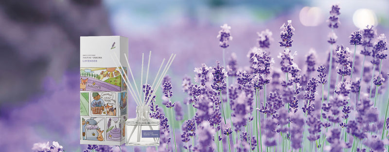 Daily Aroma Tsutsuuraura Reed Diffuser -Lavender 120ml 日本Daily Aroma无火植物萃取薰衣草香薰 120ml