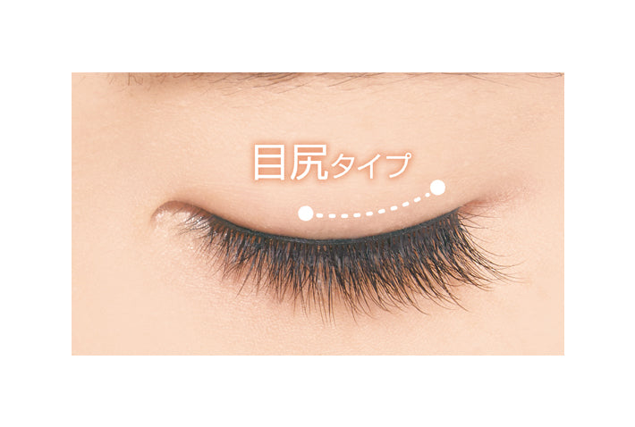 D-UP Furry Lash false eyelashes #02 Rich 2 pairs (4 pcs)日本D-UP自然卷翘立体浓密假眼睫毛 #02 两对