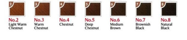 HOYU Bigen Speedy Conditioning Color (6 Medium Brown) 80g 美源 白发染发剂 (6 棕色)